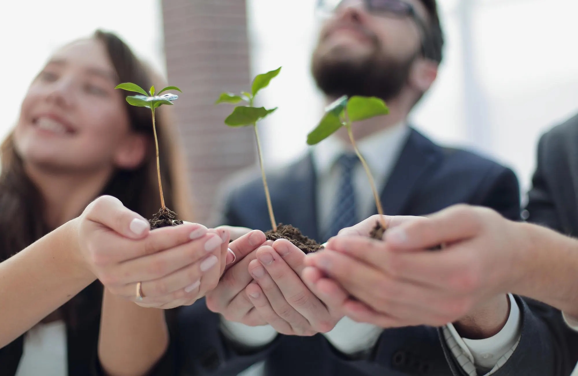 Consultoría Ambiental para Empresas